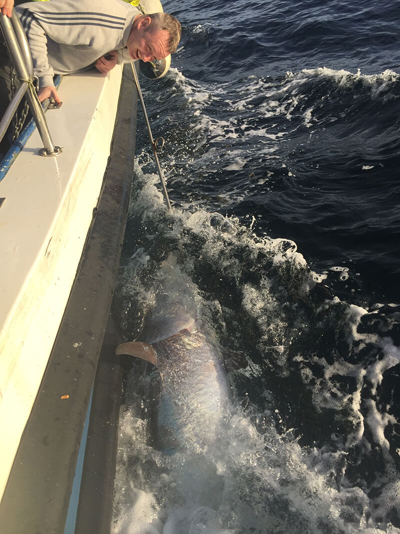 Killybegs Angling Charters - Tuna Fishing